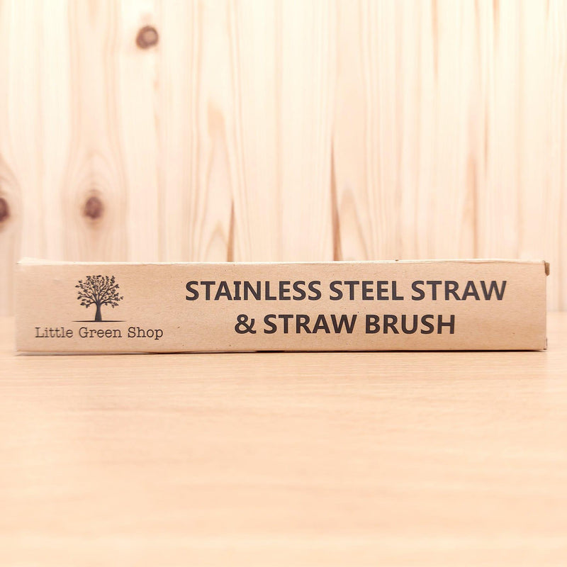 Little Green Shop Stainless Steel Straw with Brush